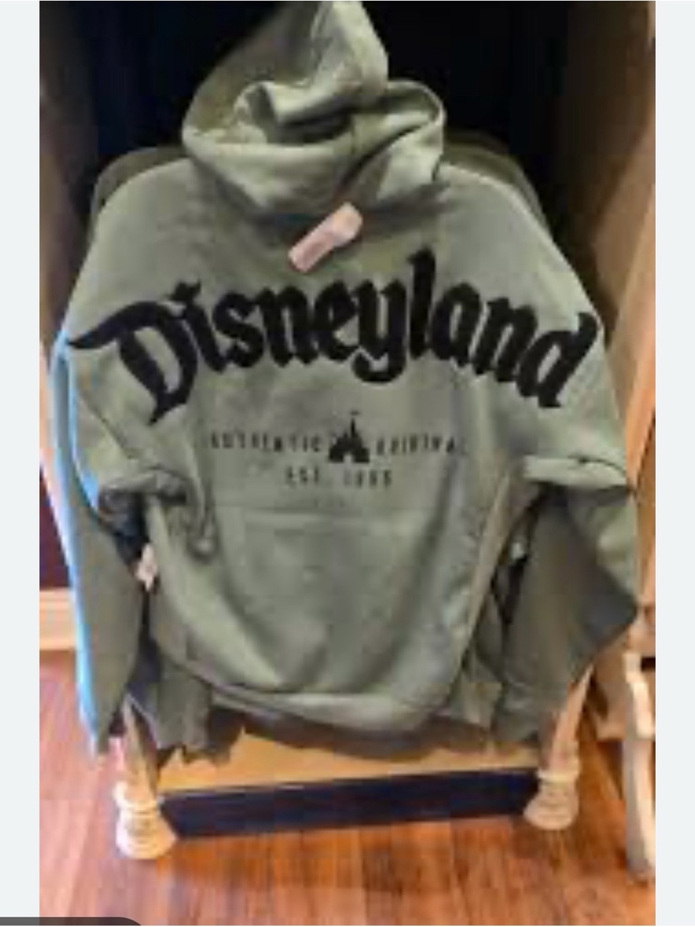Disney Sage Green Pullover Hoodie with Black Disneyland Script